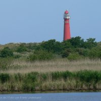 Schiermonnikoog 2009_167