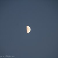 Schiermonnikoog 2009_168