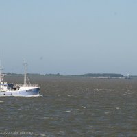 Schiermonnikoog 2009_16