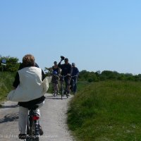 Schiermonnikoog 2009_183