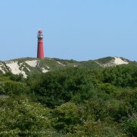 Schiermonnikoog 2009_185