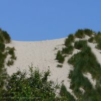 Schiermonnikoog 2009_187