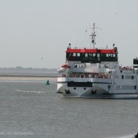 Schiermonnikoog 2009_193