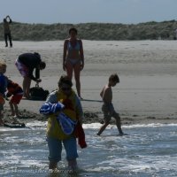 Schiermonnikoog 2009_212