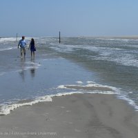 Schiermonnikoog 2009_213