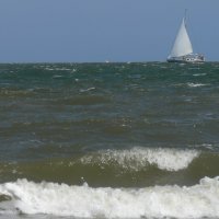 Schiermonnikoog 2009_216