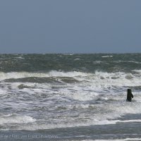 Schiermonnikoog 2009_218