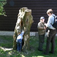 Schiermonnikoog 2009_50