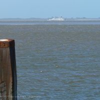 Schiermonnikoog 2009_526