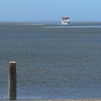 Schiermonnikoog 2009_530