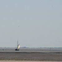 Schiermonnikoog 2009_65