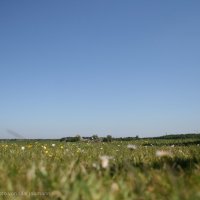 Schiermonnikoog 2009_67