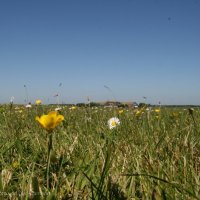 Schiermonnikoog 2009_70