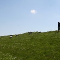 Schiermonnikoog 2009_81