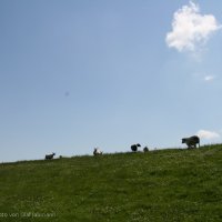 Schiermonnikoog 2009_84