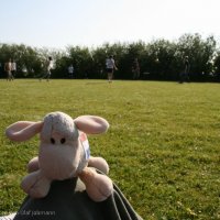 Schiermonnikoog 2010_166