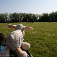 Schiermonnikoog 2010_167