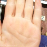 Schiermonnikoog 2010_9