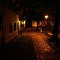 Sonstige Veranstaltungen 2010_142