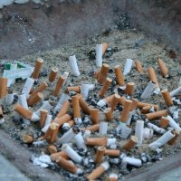 Sonstige Veranstaltungen 2010_184