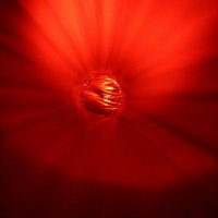 Sonstige Veranstaltungen 2010_70