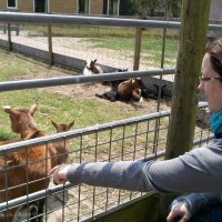 Schiermonnikoog 2011_10