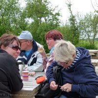 Schiermonnikoog 2011_117