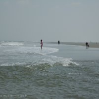 Schiermonnikoog 2011_121