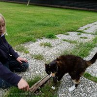 Schiermonnikoog 2011_123