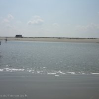 Schiermonnikoog 2011_124