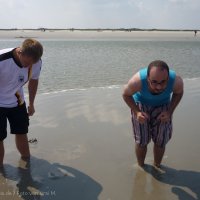 Schiermonnikoog 2011_135