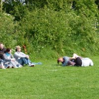 Schiermonnikoog 2011_142