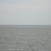 Schiermonnikoog 2011_15