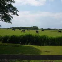 Schiermonnikoog 2011_181