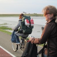 Schiermonnikoog 2011_18