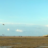 Schiermonnikoog 2011_21