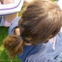 Schiermonnikoog 2011_237