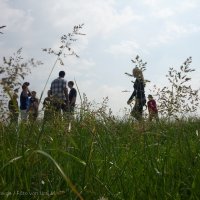 Schiermonnikoog 2011_31