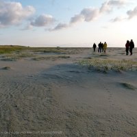 Schiermonnikoog 2011_45