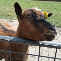 Schiermonnikoog 2011_47