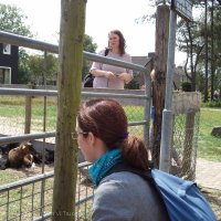 Schiermonnikoog 2011_8