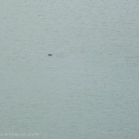 Sommercamp 2012_354