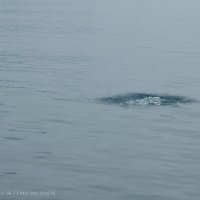 Sommercamp 2012_529