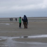 Schiermonnikoog 2013_15