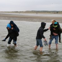 Schiermonnikoog 2013_24