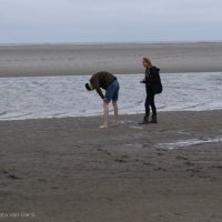 Schiermonnikoog 2013_37