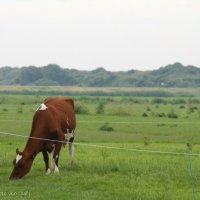 Schiermonnikoog 2014_110