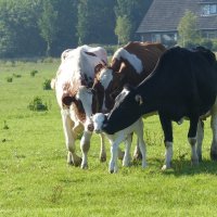 Schiermonnikoog 2014_118