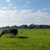 Schiermonnikoog 2014_129