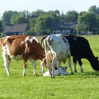 Schiermonnikoog 2014_136